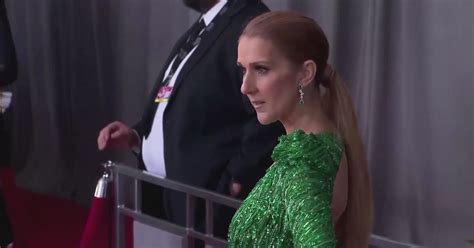 Celine Dion's donation to hospital in Colorado aims to help find .